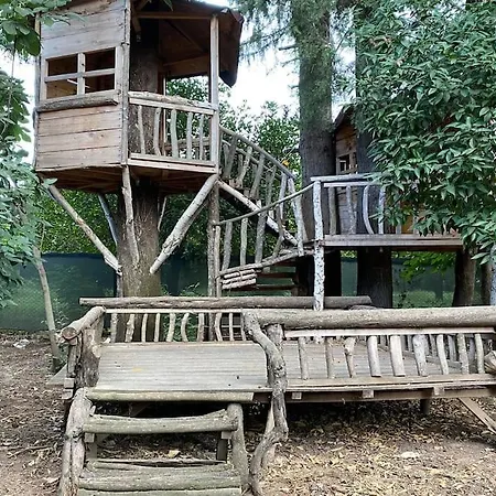 Holiday home House With Orange Garden 4-6 Persons