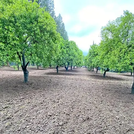 House With Orange Garden 4-6 Persons Holiday home *
