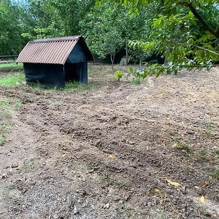 House With Orange Garden 4-6 Persons Case de vacanță *
